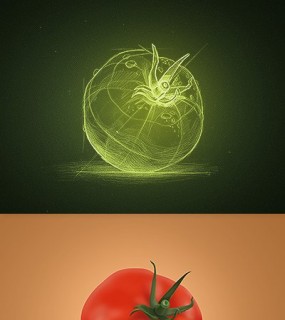 超逼真番茄图标-图片，图标，傻傻分不清楚