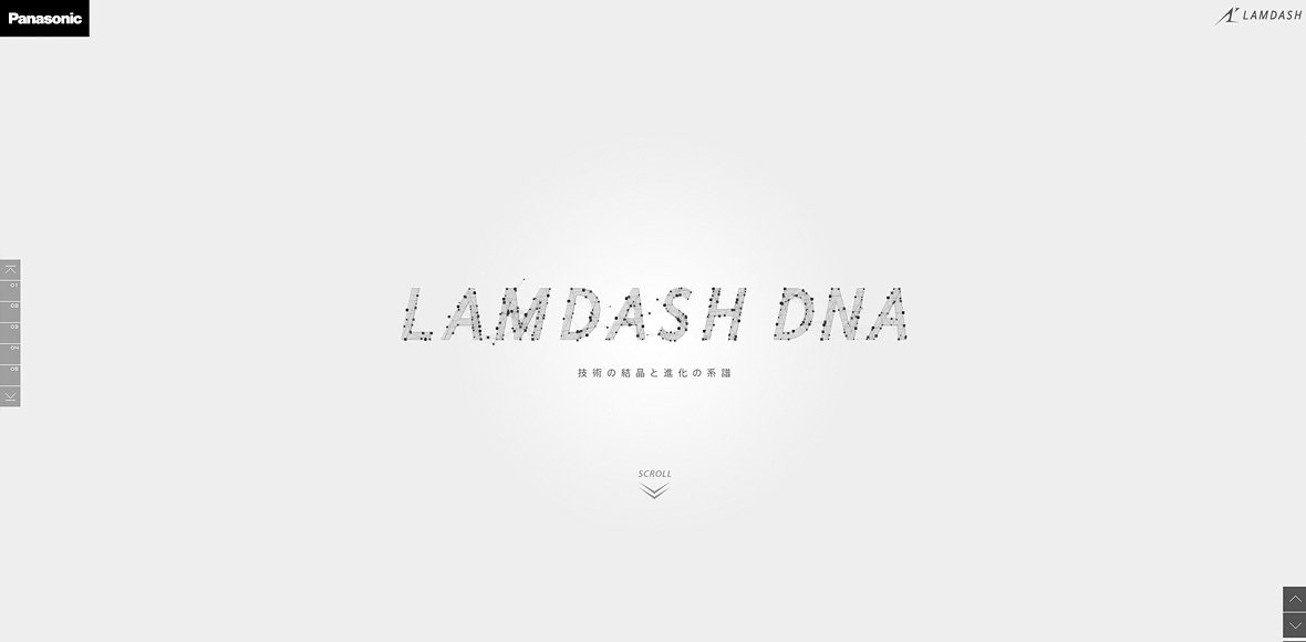 LAMDASH DNA