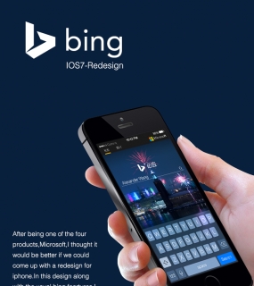 bing search GUI