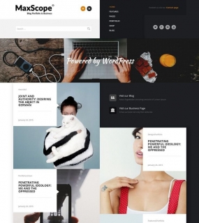 portfolio wordpress theme