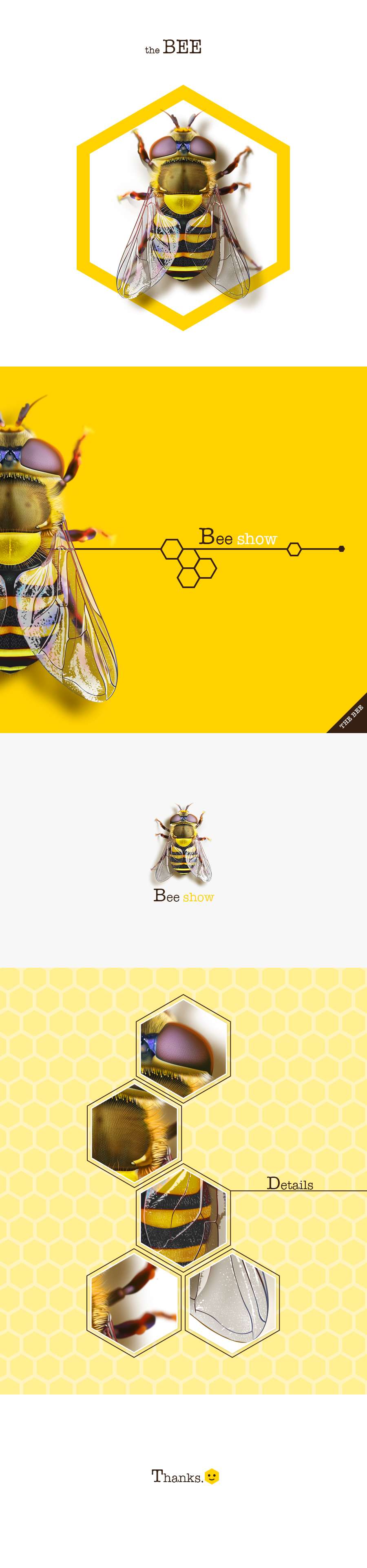 写实图标-小蜜蜂