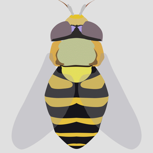 写实图标-小蜜蜂