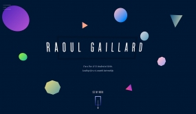 Raoul Gaillard - Portfolio