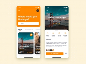Travel app mobile concept