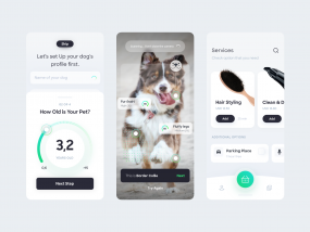 App for a pets grooming salon 🐩