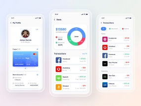 Mobile UI Kit for Wallet, Finance, Banking App. Profile | Stats
