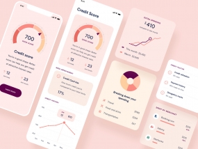 Personal finance and credit score mobile app ui ux
