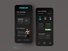 Fitness App Concept.
