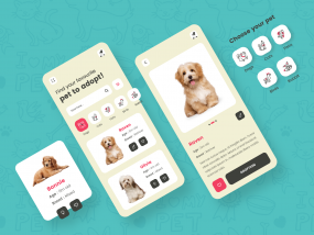 Pet Adoption App Design