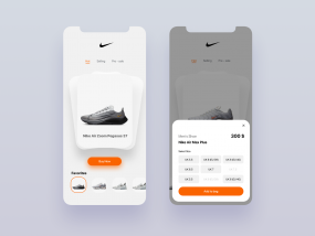 Nike Ui Concept Flip Card