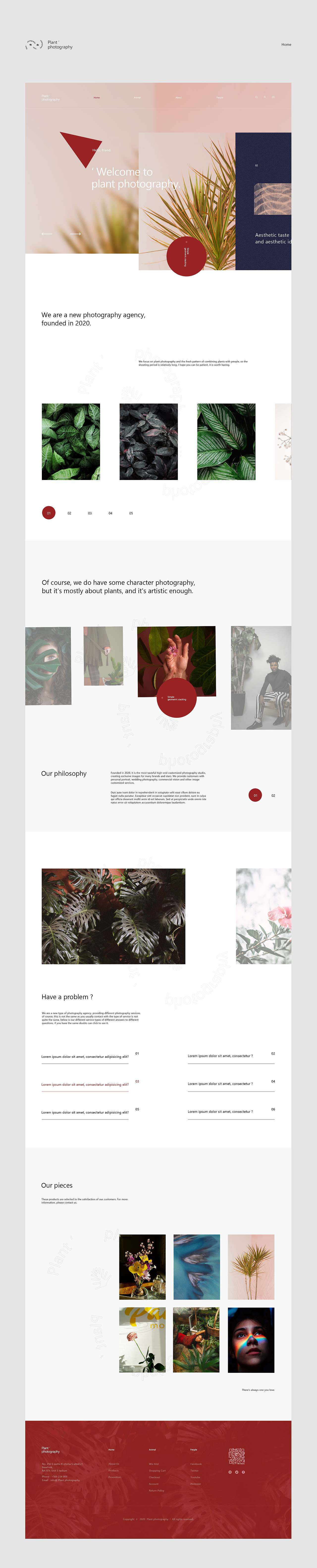 Plant Photography Web Design