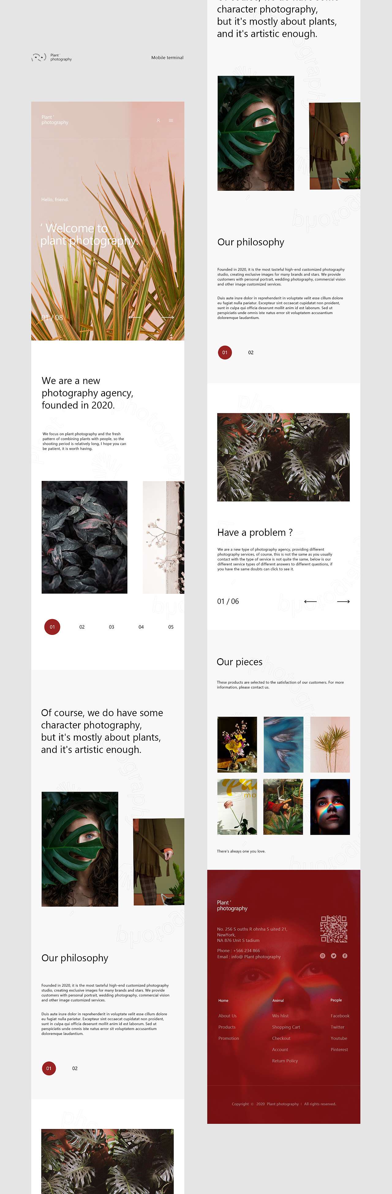 Plant Photography Web Design